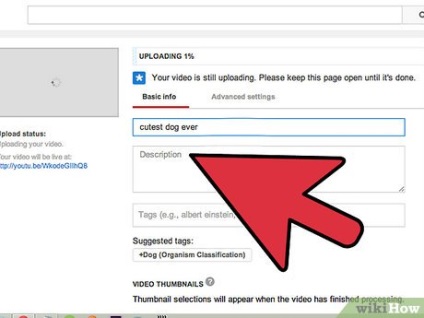 Hogyan lehet növelni a videók számát a YouTube-on