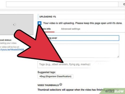 Hogyan lehet növelni a videók számát a YouTube-on