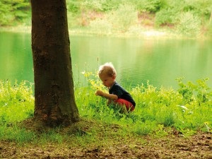 Hogyan élnek a természet törvényei