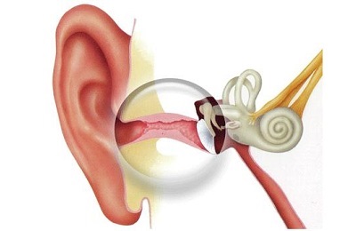 Kámforolaj alkalmazásra a fül középfülgyulladás, hogy a gyermekek is csöpög, és hogyan kell kezelni