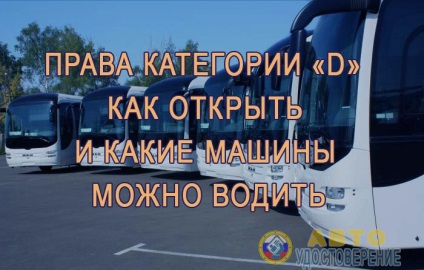 Kategória «d» - hogyan kell megnyitni, és milyen autót vezetheti (opció kezdőhelyzete) Kategória «d» - hogyan kell megnyitni és milyen autókat lehet vezetni