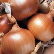 Mi álmok hagyma hagyma egy álom álom könyv (álom könyv) Miért álom álom könyv hagyma hagyma egy álom