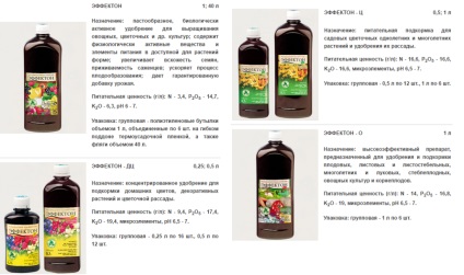 Amikor ültetett palánták korai káposzta - időt és lépésről lépésre! (Korai) Amikor ültetett palánták korai káposzta - időt és lépésről lépésre!