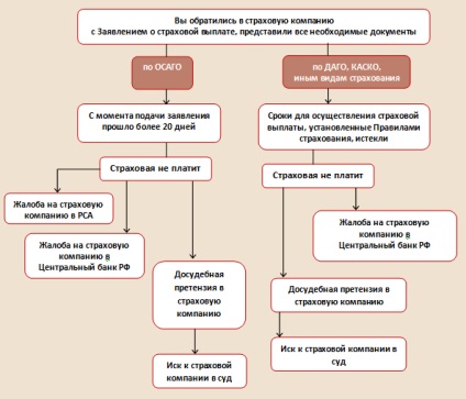 Amennyiben panaszt a biztosító társaság által CTP és hol, hogy a minta panaszt a központi bank (ahol) Amennyiben panaszt a biztosító társaság által CTP és hol, hogy a minta panaszt a központi bank