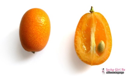 Kumquat hasznos tulajdonságai