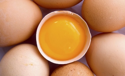 Csirke tojás - forrása a fehérje és az aminosavak