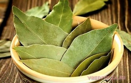 Bay leaf főzet recept a vércukor csökkentésére