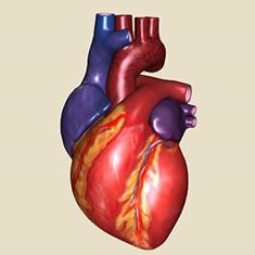 Medicine „Omacor„értékelések kardiológusok, utasítások, ár