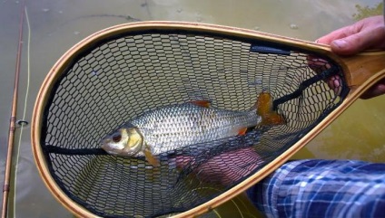 Fishing on a hab tulajdonságait halászat, berendezések, titkok és tippek