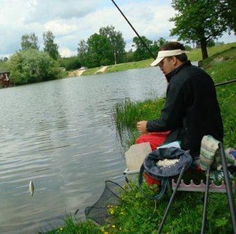 Ragályos csótány a kukacok