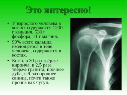 Magnézium a szervezetben, fogyás mi (a teljes mennyiségű magnéziumot) Magnézium a szervezetben, fogyás mi