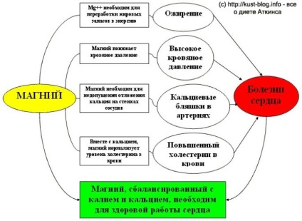 Magnézium a szervezetben, fogyás mi (a test) Magnézium a szervezetben, fogyás mi