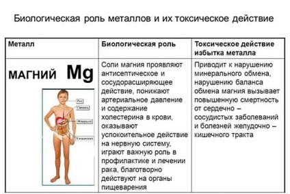Magnézium a szervezetben, a fogyás mi (magnézium) Magnézium a szervezetben, fogyás mi