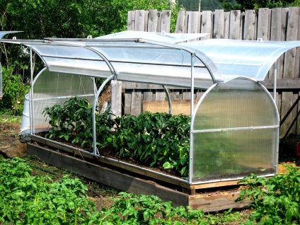Kis kerti üvegházak polikarbonátból, egy kis üvegház a kezüket, fotók és méretek, a telek