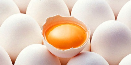haj maszk a tojásból előnyöket és alkalmazási szabályok