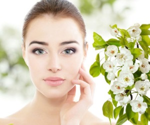 Maszkok a gyógynövények az arc - a legjobb receptek, a blog Szépség és egészség