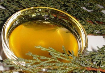 Juniper - egy egyedülálló eszköz, a szépség és a zdorovya (olaj) Juniper - egy egyedülálló eszköz, a szépség és a zdorovya