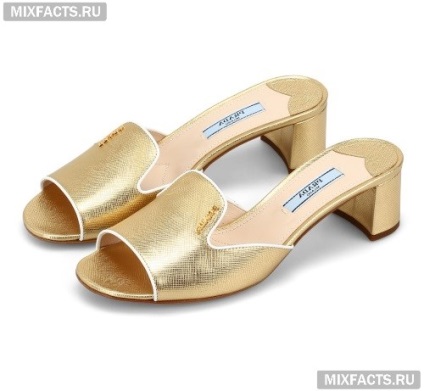 Divatos cipőt öszvérek elegáns modell (fotó) (modell) Divatos cipőt öszvérek elegáns modell (fotó)