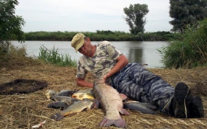 Kezdés Zsora a különböző halfajok ívási után, a mester halász (kezdet) Kezdés Zsora a különböző halfajok ívási után, Mester Fisher