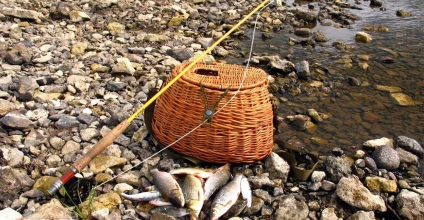 Fly rudak mi ez, osztályozás, hogyan kell kiválasztani a csali legyező horgászat