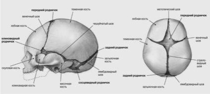 Mégis vegyület csont típusú (vegyület) Mégis vegyület csont típusú vegyületet