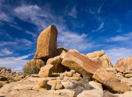 Hihetetlen Joshua Tree, fotó hírek (fák) Hihetetlen Joshua Tree, fotó hírek