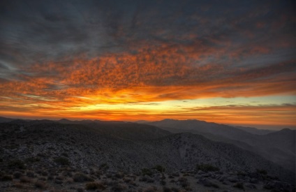 Hihetetlen Joshua Tree, fotó hírek (Park Joshua Tree) Hihetetlen Joshua Tree, fotó hírek
