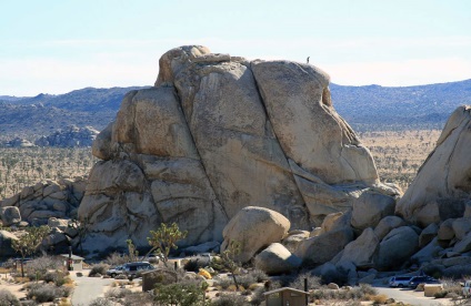 Hihetetlen Joshua Tree, fotó hírek (fa) Hihetetlen Joshua Tree, fotó hírek