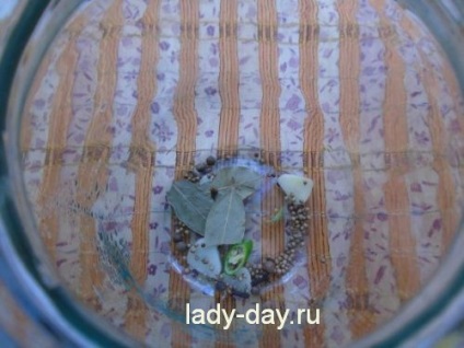 Uborka zöld paradicsom a téli recept egyszerű recept fotókkal