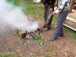 növény beporzás - a legfontosabb, hogy a gazdag termés! (Harvest) növény beporzás - a legfontosabb, hogy a gazdag termés!