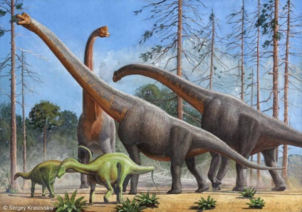Leírás sauropodáknál - dinoszauruszok