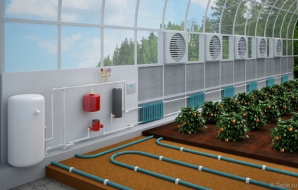 Fűtött üvegházban saját kezűleg, hogyan kell felépíteni egy üvegház a téli fűtési