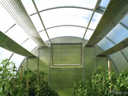 Fűtött üvegházban saját kezűleg, hogyan kell felépíteni egy üvegház a téli fűtési