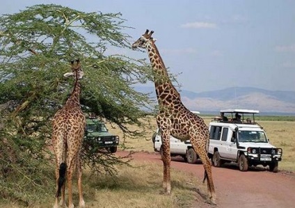 Afrika többi vélemény, fotók, videók (Zambia) Afrika többi vélemény, fotók, videók