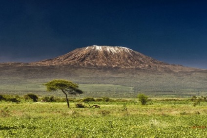 Afrika többi része áttekinti, fotó, videó (fotó) Afrika többi vélemény, fotók, videók