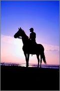 Az első szabály a fotós - fotokto (nem lehet azonos színben) Az első szabály a fotós - fotokto