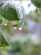 Az első szabály a fotós - fotokto (nem lehet azonos színben) Az első szabály a fotós - fotokto