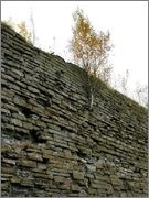 Az első szabály a fotós - fotokto (külön téma) Az első szabály a fotós - fotokto