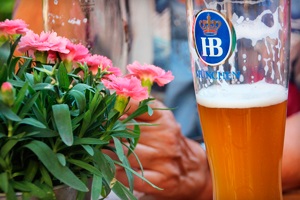 Beer tejfölös súlygyarapodás koktél recept, hogyan kell inni, előnyei és hátrányai (az eredményekről visszajelzést) (-ban) Beer tejfölös súlygyarapodás koktél recept, hogyan kell inni, előnyök és ártalmak (az eredményeket a vélemény)