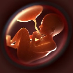 A placenta elégtelenség oka, fejlesztés, megnyilvánulás, kezelése és megelőzése (gyermek) A placenta elégtelenség oka, fejlesztés, megnyilvánulás, kezelése és megelőzése