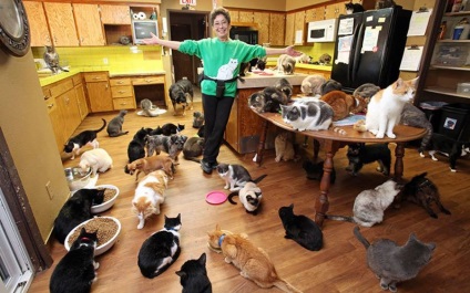 Miért az emberek szülni egy csomó macskák és kutyák, amit az ember tartalmaz háziállat, és hogy az emberek miért