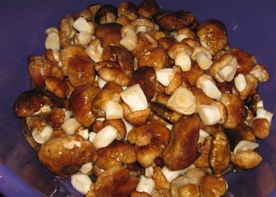 Podtopolniki sült recept (recept) Podtopolniki sült recept