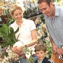 Hasznos tippek, ha vásárol szobanövények
