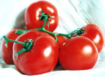 Paradicsom diéta fogyás véleménye, menük (Tomato) Paradicsom diéta fogyás véleménye, menü