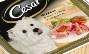 fajta kutya a reklám takarmány „Caesar” - a név, fotó, leírás, „hogy mancs”