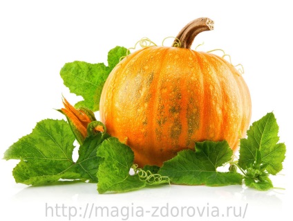Lose keresztül sütőtök (via) Fogyni segítségével egy tök
