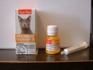 Prazitsid (szuszpenzió) és macskák cicák, kutyák és kölykök, véleménye a gyógyszerek használatát állatoknál