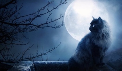 Helyesírás a temetőben föld cselekmények azonnali (helyesírás temető föld) Helyesírás a temetőben földmunkák azonnal
