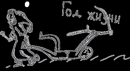 Karrier-orientált teszt-képzés - a cél (legszívesebben) Karrier-orientált képzési teszt - misszió