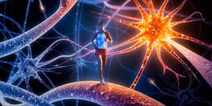 Pszichológiai okok stroke, az egészségügy és az orvostudomány (stroke) Pszichológiai okok stroke, az egészségügy és az orvostudomány
